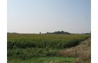Property photo 5 - 192.5+/- Acres Offered in 3 Tracts